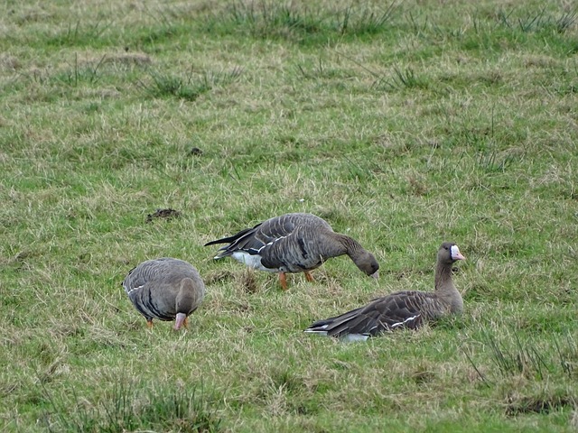 心理专家：阿劳霍目前身体状况良好，但他存在心理问题